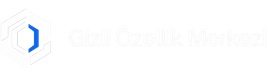 Gizli Özellik Merkezi